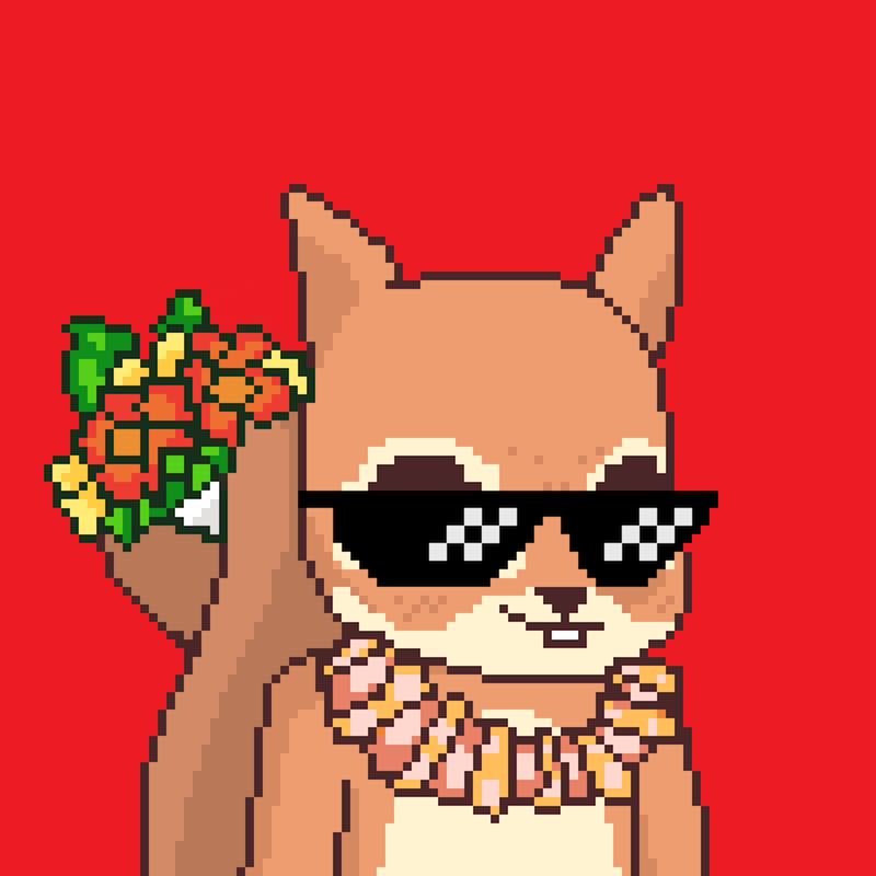 Pixel Squirrels #9584